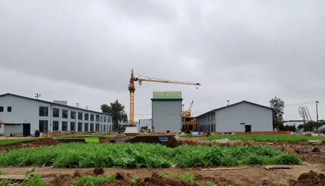 基地合作中种苗套餐选择问题及应对策略
